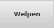 Welpen