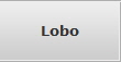 Lobo