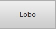 Lobo