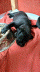 WhatsApp Image 2022-08-07 at 10