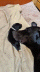 WhatsApp Image 2022-08-07 at 11